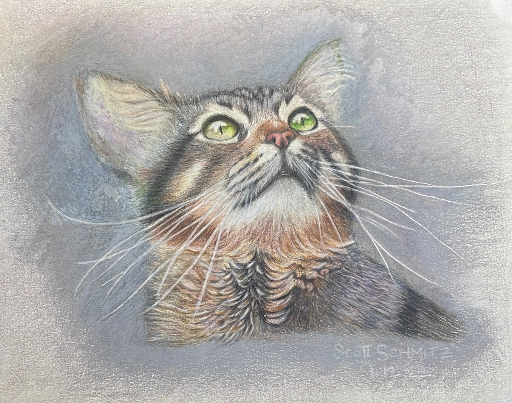 Custom Pet Portrait in Colored Pencil