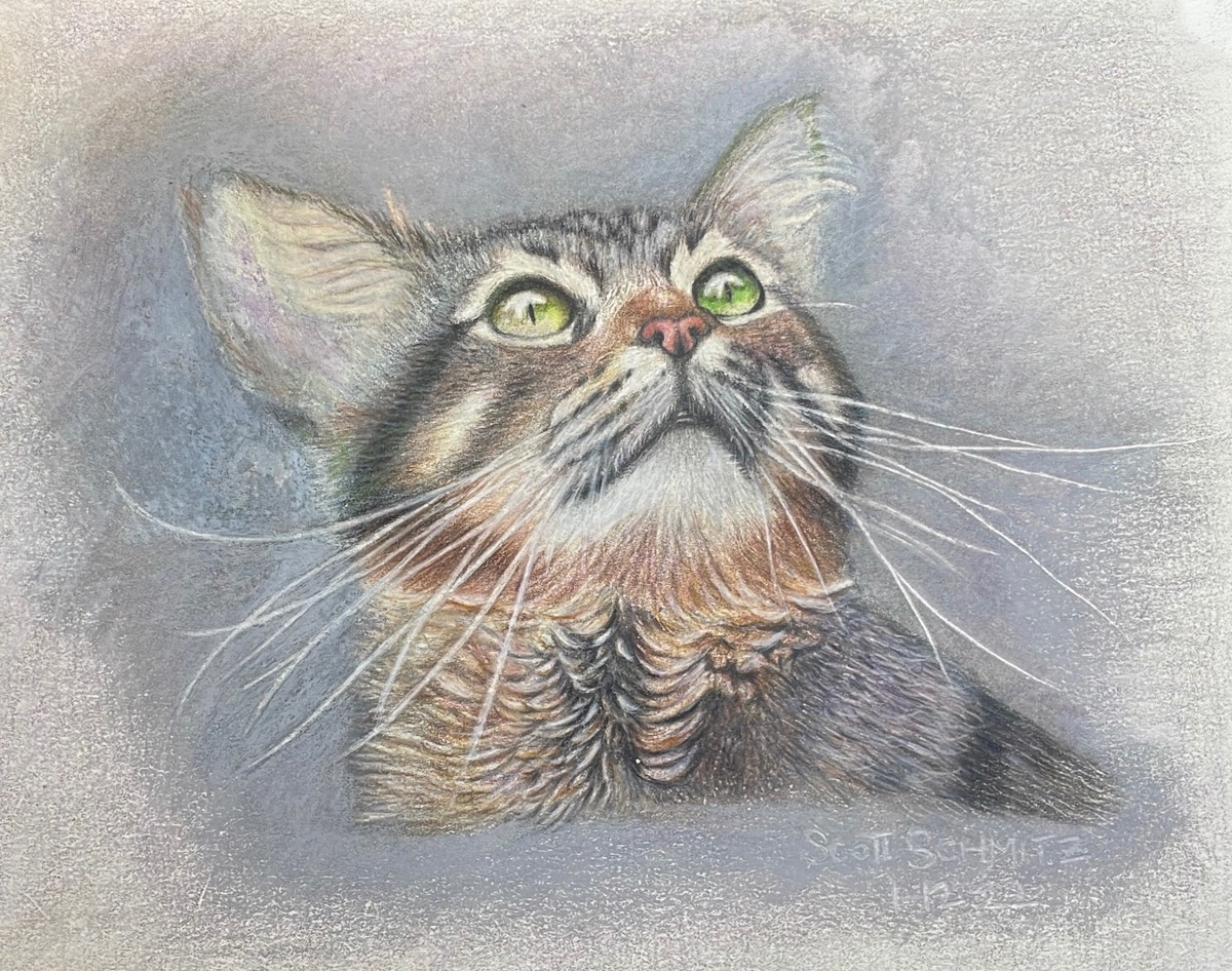 Custom Pet Portrait in Colored Pencil