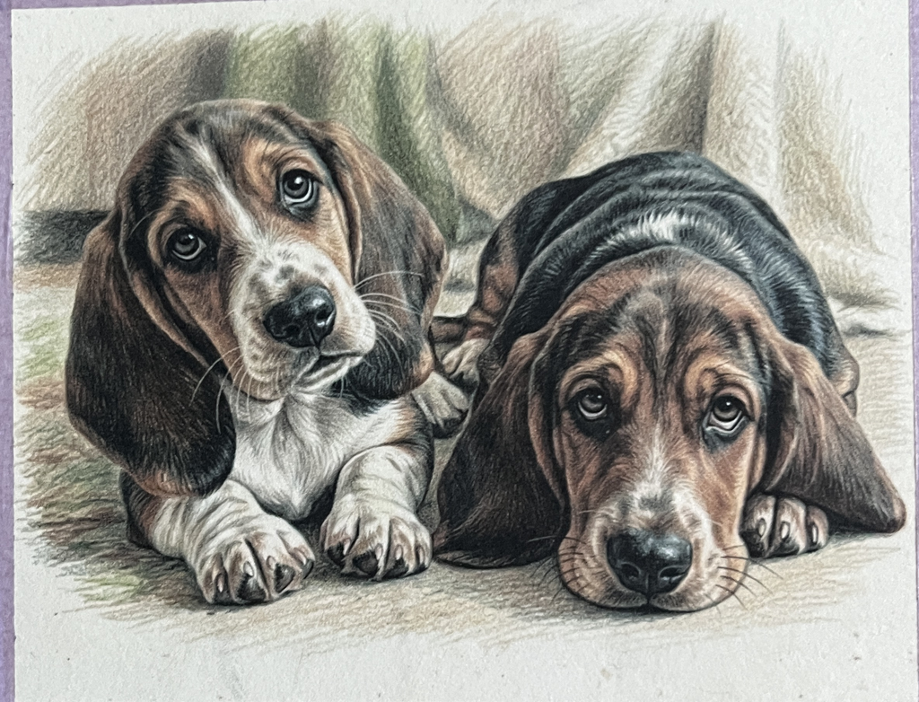 Custom Pet Portrait in Colored Pencil