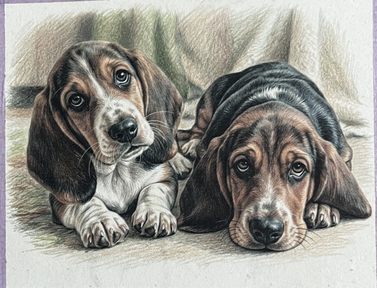 Custom Pet Portrait in Colored Pencil