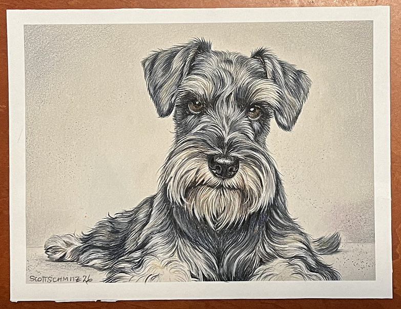Custom Pet Portrait in Colored Pencil